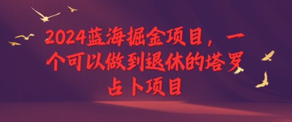 2024瀚海掘金队新项目，一个能做到退休塔罗牌占卜新项目