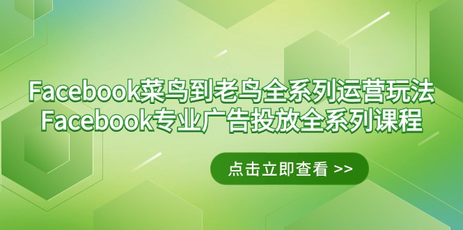 （9065期）Facebook-小白到老手系列产品经营游戏玩法 Facebook-技术专业广告营销全主题课程