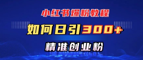 小红书的涨粉实例教程，怎样日引300 自主创业粉，迅速进行精准转现