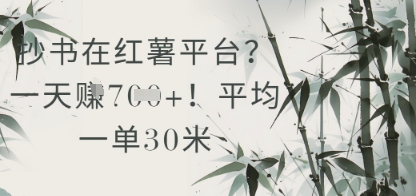 抄写在小红书服务平台？平均一单30米，一天盈利多张！