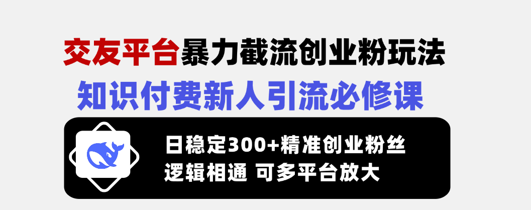 （14432期）交友网站暴力行为截留自主创业粉游戏玩法，社交电商新手引流方法必修课程，日平稳300 精确...
