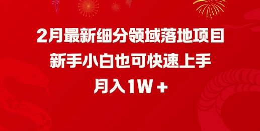 2月全新细分行业落地项目，新手入门也可以快速入门，月收入1W