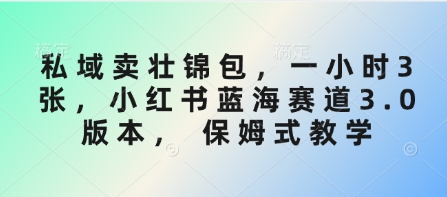 公域卖壮锦包，一小时3张，小红书的瀚海跑道3.0版本号， 跟踪服务课堂教学