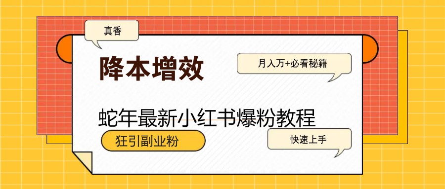 蛇年全新小红书的涨粉实例教程，狂引第二职业粉，月入万 必读