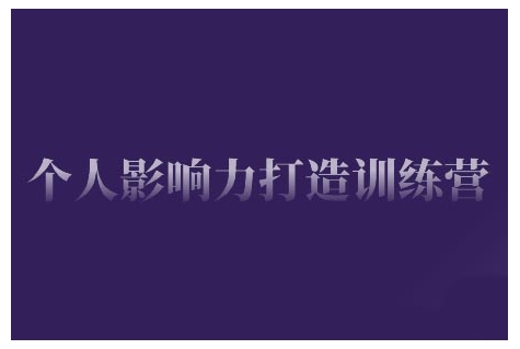 个人影响力打造出夏令营，把握公域流量引流方法、私域流量运营、市场定位等核心技能，即从0到1本人的IP成长