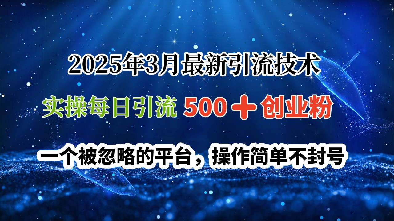 2025年3月最新引流技术，实操每日引流500?创业粉，一个被忽略的平台，操作简单不封号