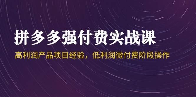 拼多多强付费实战课-44期，高利润产品项目经验，低利润微付费阶段操作