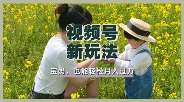 运用车祸事故意外视频，撸视频号分为盈利，轻轻松松月入了W，使用方便，适宜宝妈妈，工薪族