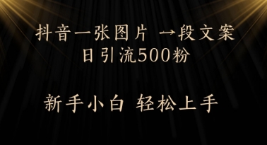 每日2min，抖音一张照片 一段创意文案日引流方法500粉