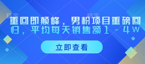 重返即顶峰，粉丝新项目强势归来，每天至少销售总额1-4W