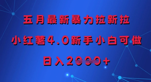五月全新暴力行为引流拉，小红书4.0新手入门能做，日入好几张