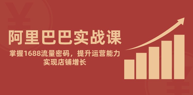 （14830期）阿里实战演练课：把握1688总流量登陆密码，提高经营能力，完成店面提高