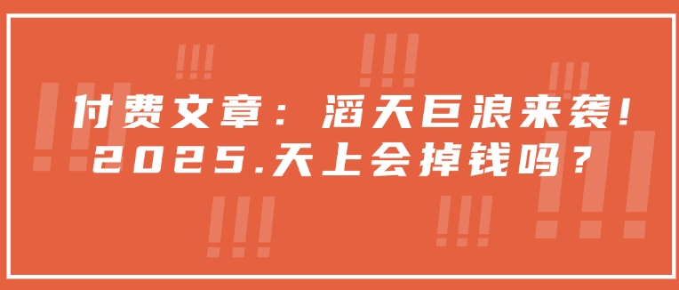 付费文章：狂风巨浪来临！2025天空就掉了钱吗？