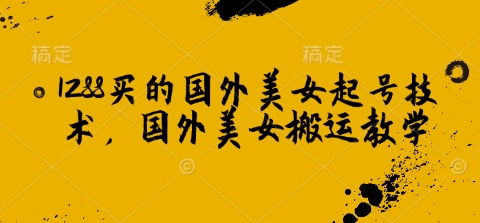 1288买来的国外美女养号技术性，国外美女运送课堂教学