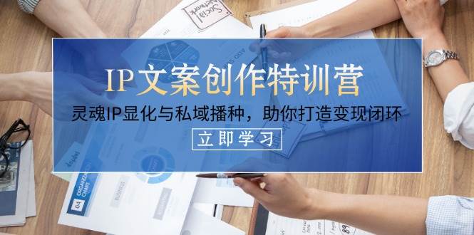 IP文案创作夏令营，生命IP证悟与公域栽种，帮助你打造出转现闭环控制（14堂课）