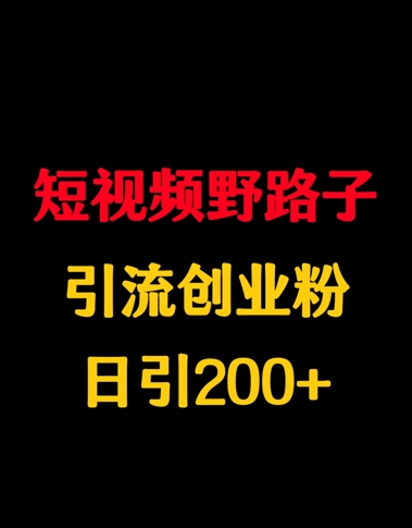 小视频歪门邪道引流方法自主创业粉，日引200