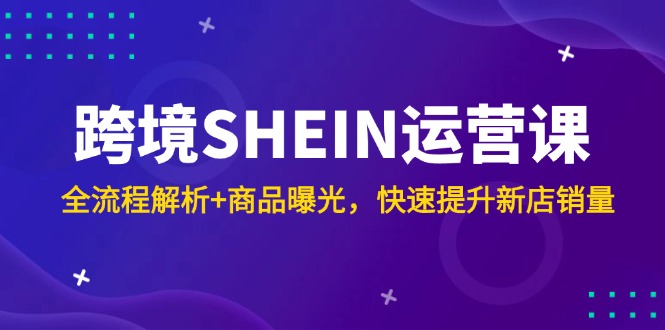 （14832期）跨境电商SHEIN运营课，全过程分析 产品曝出，快速升级新店开业销售量
