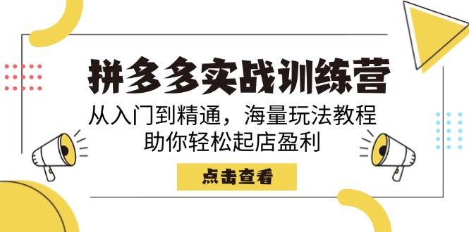 拼多多平台实战演练夏令营，实用教程，大量游戏玩法实例教程，帮助你轻轻松松出单赢利