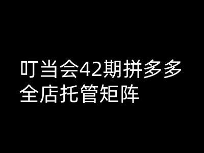 钉铛会拼多多平台打穿班原创设计高级技术性第42期，拼多多平台店铺代管引流矩阵